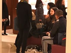 -爱马仕(麦迪逊大道店)