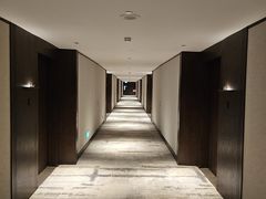 -新加坡乌节希尔顿酒店 (SG Clean)