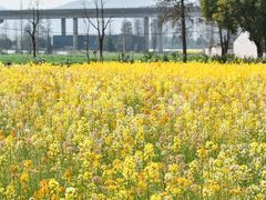 -东钱湖旅游度假区