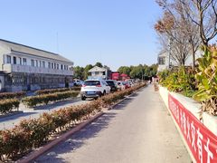 -崇海汽渡临永渡口