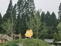 -黄海国家森林公园
