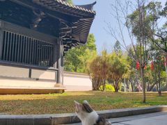 -荔湾湖公园