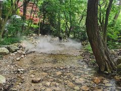 -北仑森林植物园