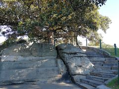 -悉尼歌剧院