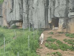 -无锡动物园·太湖欢乐园