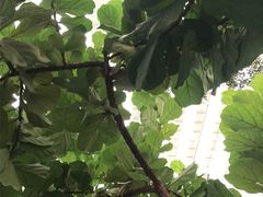 -龙脉温泉室内游泳馆