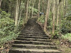 -龙湾潭国家森林公园