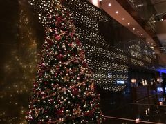 北辰洲际酒店-北京北辰洲际酒店