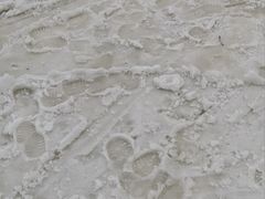 -鳌山滑雪度假区