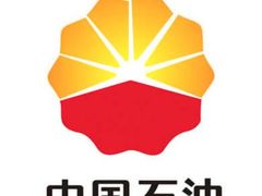 -中国石油(常德路加油站)