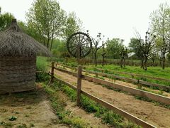 -溱湖国家湿地公园