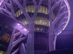 -奥塔空中餐厅