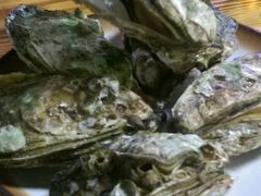 -大富蚝乌东哥饭店·石锅鱼杂·柠檬鸭(革新路店)