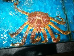 -无味饭店(九眼桥商业文化广场店)