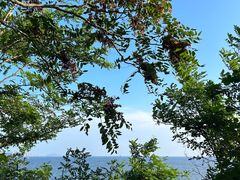 -泊石湾海滨浴场