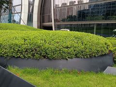 -盈丰路(地铁站)