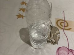 -郑喜旺烧烤(郑州总店)