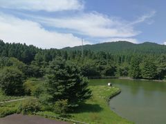 -武陵山森林公园