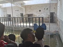 -石家庄市动物园