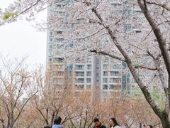 -西北湖绿化广场