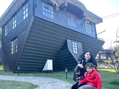 -金山农民画村-枫泾波兰倒置屋