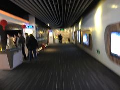 -奥斯卡升龙国际影城(RealD Cinema)