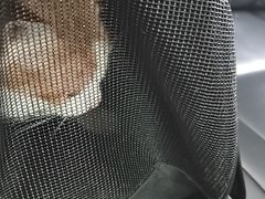 -御宝贝·A梦猫科宠物医院(国际猫友好医院)