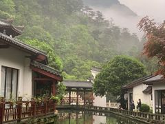 -姑婆山旅游区
