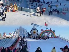 -沈阳奥体冰雪嘉年华