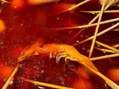 -香宫中餐厅 · 桂林香格里拉