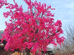 -祥源·阜阳生态乐园