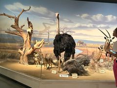 -陕西自然博物馆