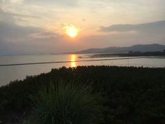 -盐洲岛