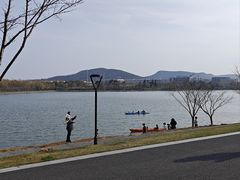 -羊山湖公园
