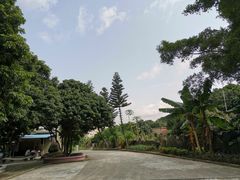 -凤凰山公园-龙王古庙