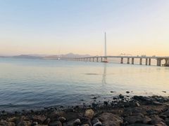 -宝安西湾红树林湿地公园