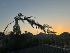 -宴武夷·匠心闽味(印象大红袍店)