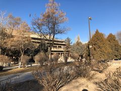 -张掖大佛寺景区