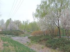 -颐和园西门停车场