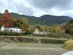 -塔川景区