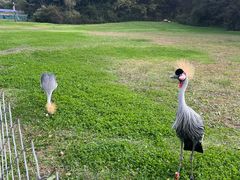 -沈阳森林动物园