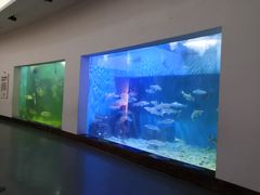 -上海长江河口科技馆
