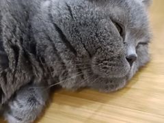 -小小班私人影院·猫咖(万达茂广场店)