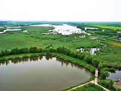 -白渔泡湿地公园