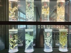 -广东中医药博物馆