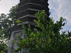 -正阳书局(西四南大街店)
