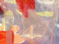 棒棒糖-故宫冰窖餐厅