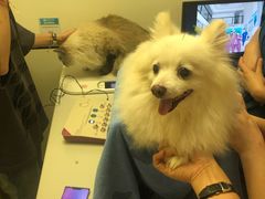 -爱诺耐芙动物医院(万博店)