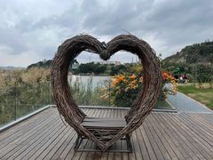 -福建鲤鱼洲酒店