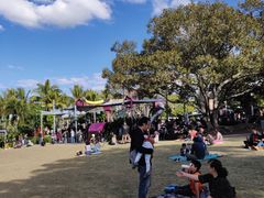 -布里斯班南岸公园